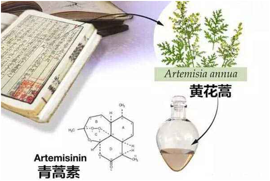 完美平台客服,完美（中国）：向中医药看齐，与世界共享中医药文化(图1)